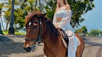 Bali Horse Riding Trot & Canter Saba Beach with Local Temple 