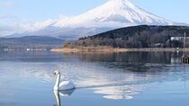 Mt. Fuji Signature 6 Scenic Spots One Day Tour from Tokyo