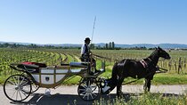 Sparkling carriage ride through Krems and the Wachau vineyards