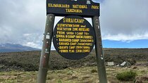 Shira route Kilimanjaro Day Trip via Lemosho route