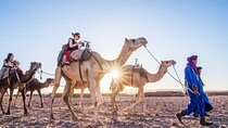 Private Zagora Desert Camp over night & Camel Ride - Marrakesh