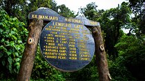  8 Days Mount Kilimanjaro Lemosho Route