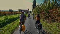 Saint Emilion Wine Tour by E-Bike- Bordeaux Pick up and drop off