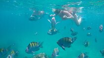 Underwater Wonders Snorkeling Adventure