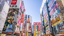 Akihabara Anime Shopping and Karaoke Bar Adventure