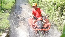 Private Ubud ATV Experience 