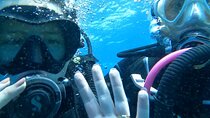 Private Dive Discovery for Beginners from a Boat