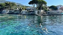 From Nice: Snorkeling & Scenic Swim Stop in Villefranche-sur-mer