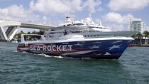 Early Bird Sea Rocket Speed Boat Cruise