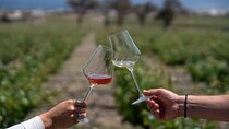 Volcanic Elegance- 2 Winery Tour with Wine Tastings & snacks