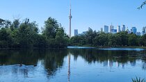 Bike Tour Toronto Harbourfront and Toronto Islands (Economical)