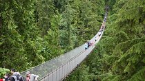 Discover the Wild Beauty of North Vancouver