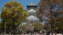 Osaka Customized Half-Day Tour with English-Speaking Guide