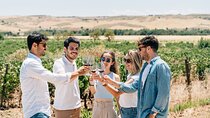 Toledo Tour & Vineyard Walk with Wine Tasting from Madrid