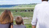 Chobe Safari Day Trip from Victoria Falls