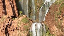 Paradise Valley Ouzoud – Waterfalls, Boat Trip & Berber Lunch