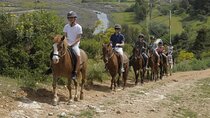 Kusadasi Port Ephesus and Horseback Riding Tour