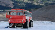 Columbia Icefield Bow Lake Peyto Lake Day Tour
