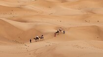 4 Days/3 Nights Luxury Sahara Tour From Marrakech To Erg Chegaga