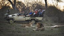 7 Day Luxury Kapama Kruger and Victoria Falls Safari