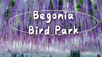 Begonia Bird Park, Rail Bike and Garden of Morning Calm Tour