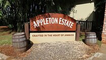Appleton estate tour