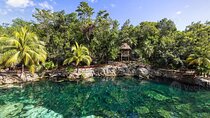 Cenotes Casa Tortuga: 4 Cenotes Day Pass