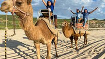 Private ATV and Camel Ride on a White Sand Beach