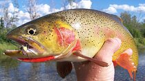 Full Day Guided Fly Fishing Trip From Jackson Hole