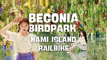 Nami Island and Begonia Bird Park Tour from Seoul (opt Railbike)