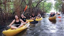 Portobelo Jungle & Reef Adventure Eco Tour (Kayak, hike, snorkel)