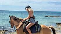 Horse Riding & Sunset Catamaran Ricks Cafe Combo ALL HOTELS