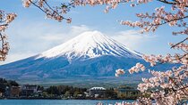 Mount Fuji Private Tour With English Guide Fully Customizable