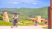 Florence: E-Bike tour to Fiesole with optional Pool or Olive Oil