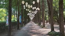 Private tour Nami Island, Alpaca World and Railbike Gyeonggang