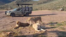 Aquila private Safari sunset game drive with ticket & transport 