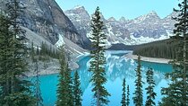 Lake Louise Moraine Lake Emerald Lake Peyto Lake 3/4 Lakes Tour