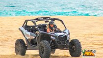  Cabo San Lucas Playa Migrino Adventure Tour