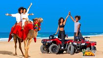 Beach ATV & Camel Ride COMBO in Cabo by Cactus Tours Park
