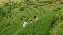 Private Customize Ubud Day Tour With Experienced Driver