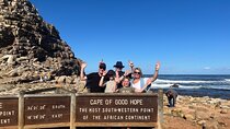  Cape Point, Cape of Good Hope, Penguins Experience