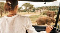 Pilanesberg Full Day Safari Tour with Lunch from Johannesburg