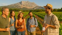 Half Day Vineyards & Wine Tasting from Aix en Provence
