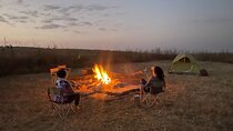 2-Day Akagera Wildlife Safari, A Night Bush Camp and City Tour