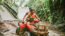 Full Day Bali Quad Bike Monkey Forest Rice Terrace and Swing