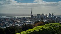 Half-day Discover Auckland City Sightseeing Tour