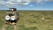 6 Days Tanzania Family Safari