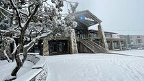 Mount Buller, Mount Hotham, Falls Creek Best Private Snow Tours