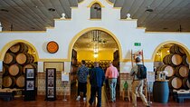 Visit the Oldest Winery of Malaga and Wine Tasting