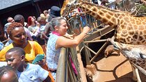 Classic Nairobi City Tour Safari-Free WI FI